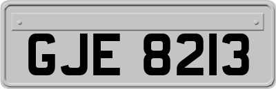 GJE8213
