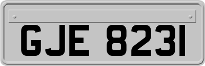 GJE8231