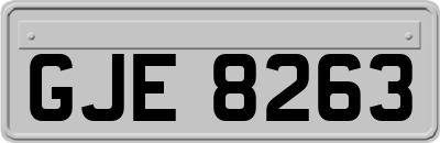 GJE8263