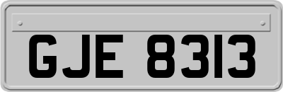 GJE8313