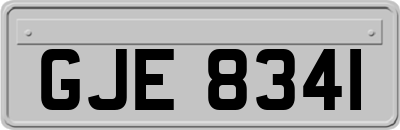 GJE8341