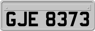 GJE8373
