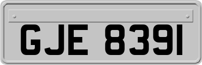 GJE8391