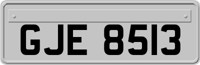 GJE8513