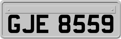 GJE8559
