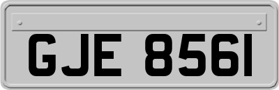 GJE8561