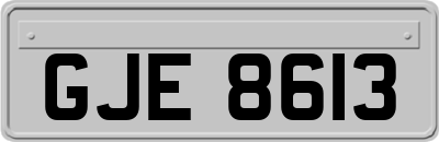 GJE8613