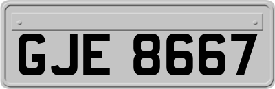GJE8667