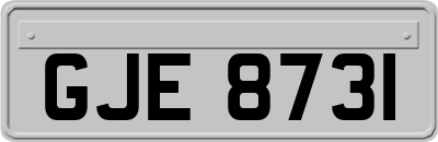 GJE8731