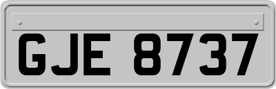 GJE8737