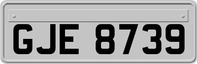 GJE8739