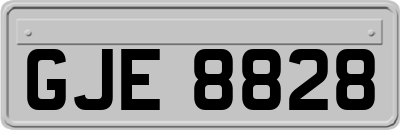 GJE8828