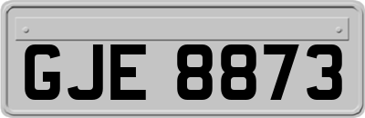 GJE8873