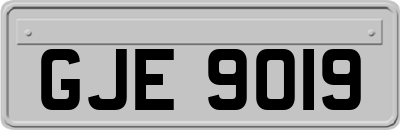 GJE9019