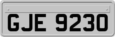 GJE9230