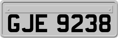 GJE9238