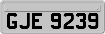 GJE9239