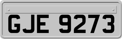 GJE9273