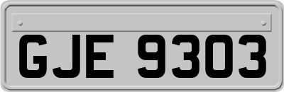 GJE9303