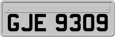 GJE9309