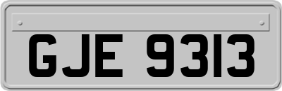 GJE9313