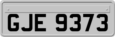 GJE9373