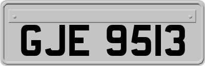 GJE9513