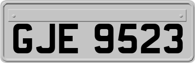 GJE9523