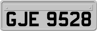 GJE9528