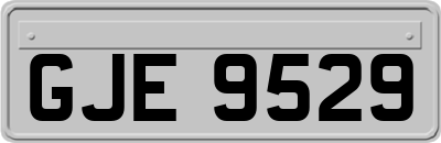 GJE9529