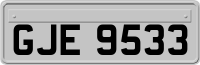 GJE9533