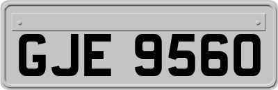 GJE9560