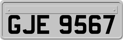 GJE9567