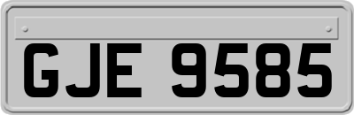 GJE9585