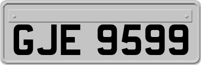 GJE9599