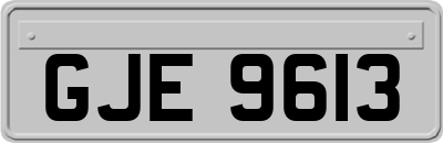 GJE9613
