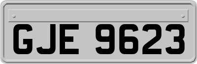 GJE9623