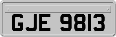 GJE9813