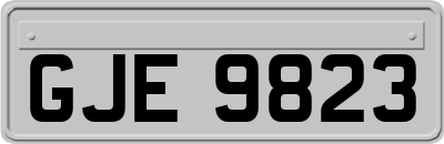 GJE9823