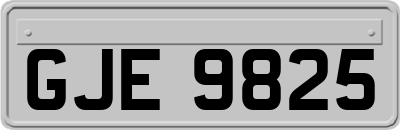 GJE9825
