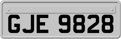 GJE9828