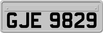 GJE9829