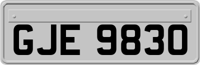 GJE9830