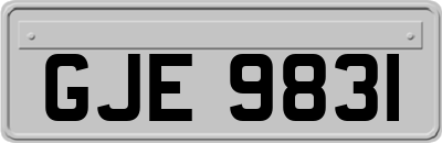 GJE9831