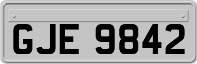GJE9842