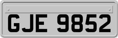 GJE9852