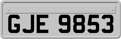 GJE9853