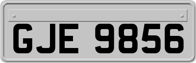 GJE9856