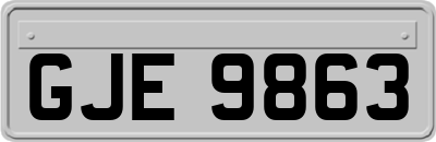 GJE9863