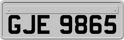GJE9865